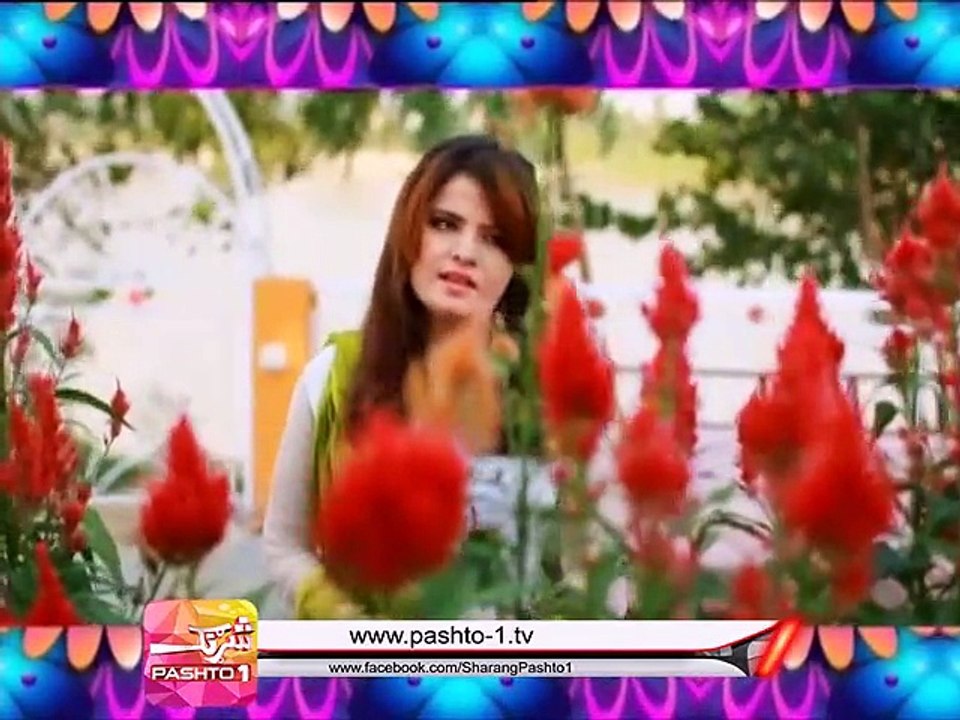 Sharang Pashto 1, P-1 Junction ( Atif ) ( 10-01-2015 )