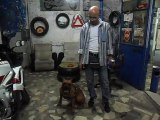 Zincir Yağlamaya Yardımcı Köpek - Araba Tutkum