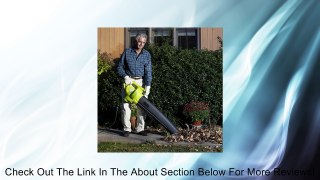 Sun Joe 3-in-1 Blower Vacuum and Leaf Shredder Review