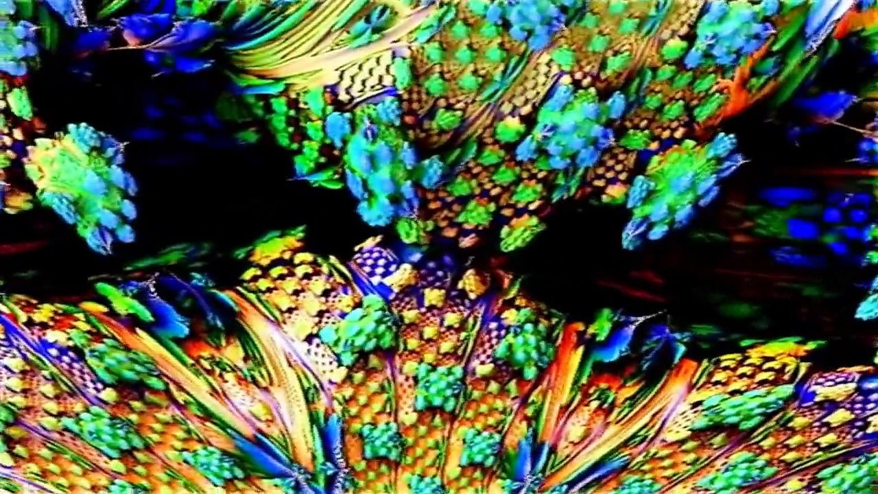 VOTTOVAARA-COLLECTION TRIPS