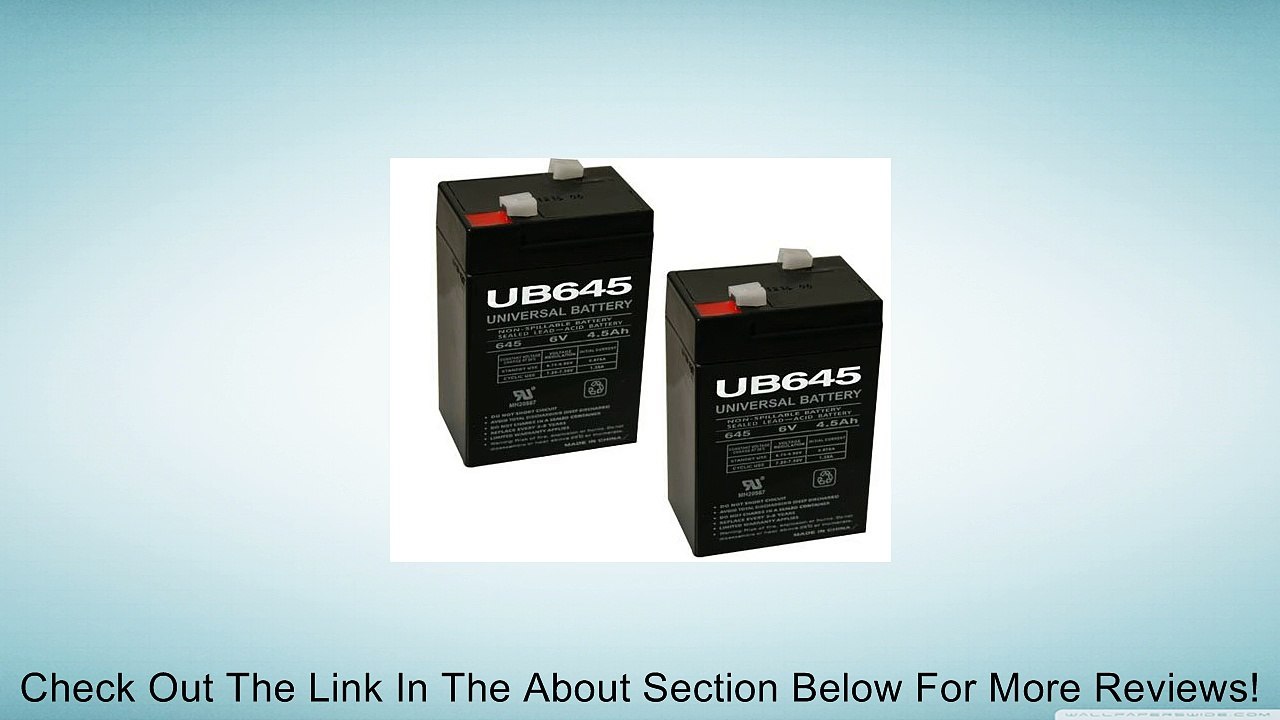 Wild Game Innovations 6-Volt eDRENALINE Tab Style Rechargeable Battery - 2 Pack Review