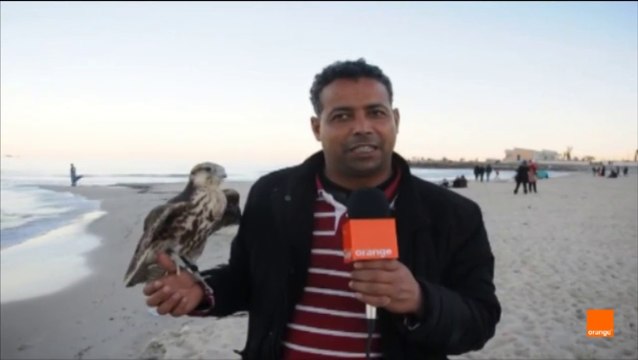 هاو شنوة قالو التوانسة في المنتخب التونسي بعد تعادله مع الجزائر