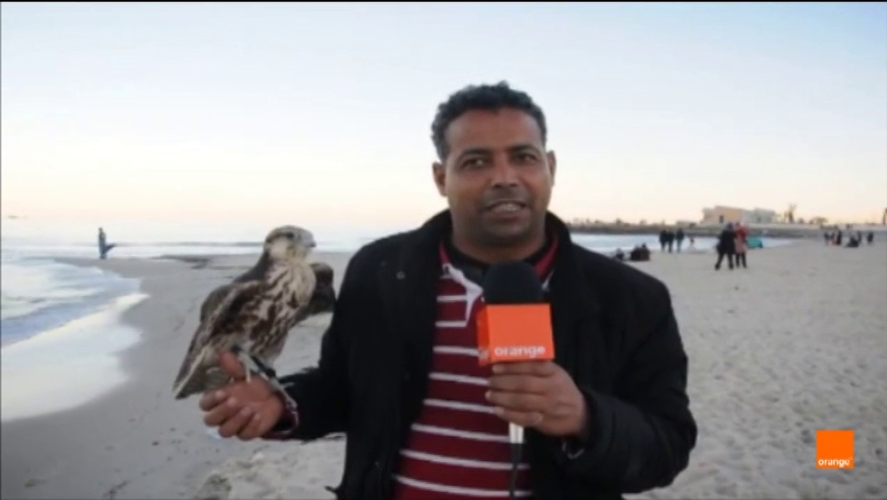 هاو شنوة قالو التوانسة في المنتخب التونسي بعد تعادله مع الجزائر