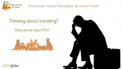 Moving Pets Made Easy With DKC