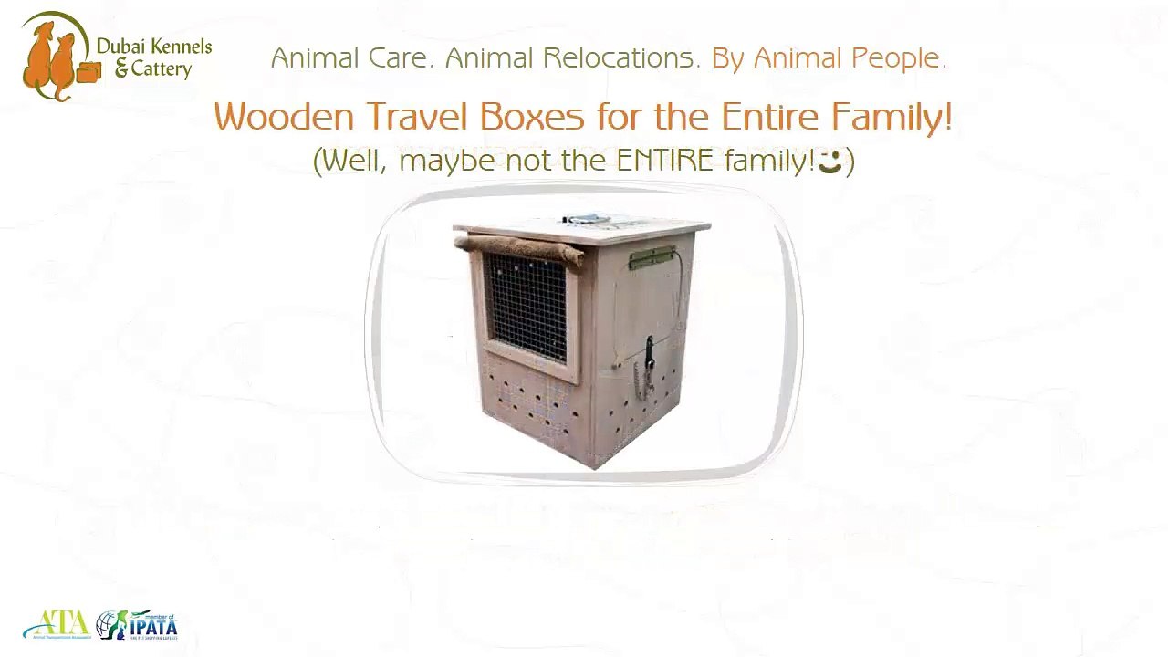 DKC: The Most Reliable Pet Care Expert In Dubai