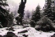 Beautiful Video of Live Snow Fall at Manali in Himachal Pradesh- India