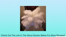 5pcs Ostrich Feathers, White Plumes, Dyed 20-22 Inches High Quality!!! Review