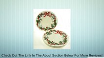 Holiday Garden Salad Plates 9.25 IN, Set of 4 Review