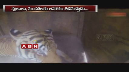 Meet the big cat enthusiast who shares backyard with tigers : Something Special