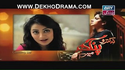 Na Kutro Pankh Mere Episode 12 Full January 11, 2015 on ARY Zindagi