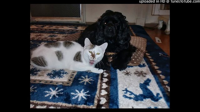 My Foolish Heart/マイ・フーリッシュ・ハート/愚かなり我が心/カラオケ/karaoke/ピアノ 高橋丈太郎