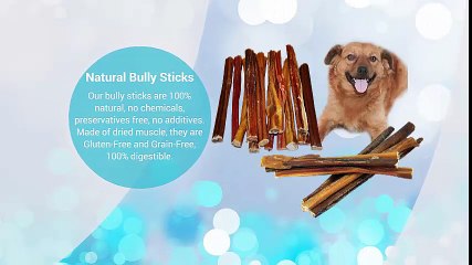 Pack of 5 - 6" Beef Bully Sticks for Dogs and Puppies Reviews