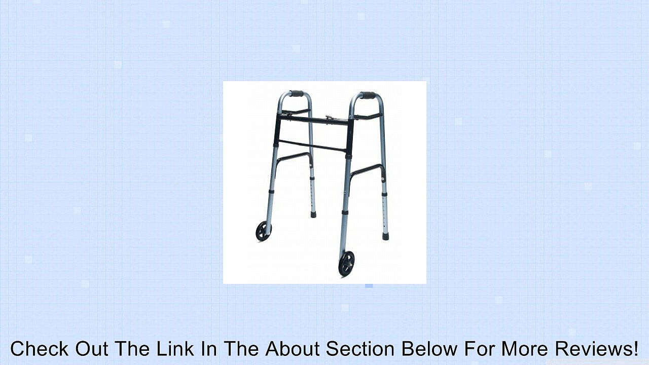Adult Walker Color: Plum Review