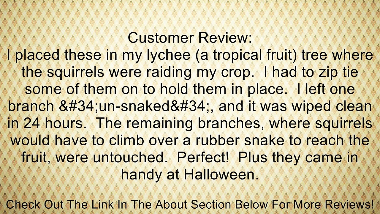 12 Green Garden Snakes Great to Keep Birds Away Rubber Toy 24" Review