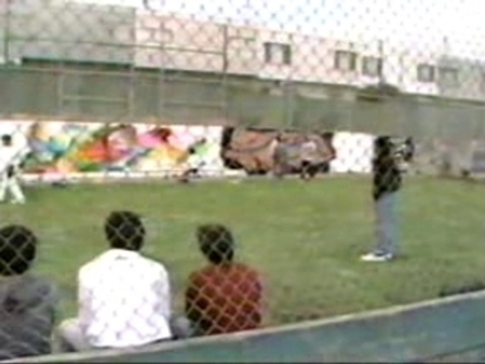 ArtNotesGraffitiinSF
