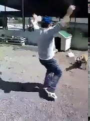 Pitbullla Şaka Olmaz