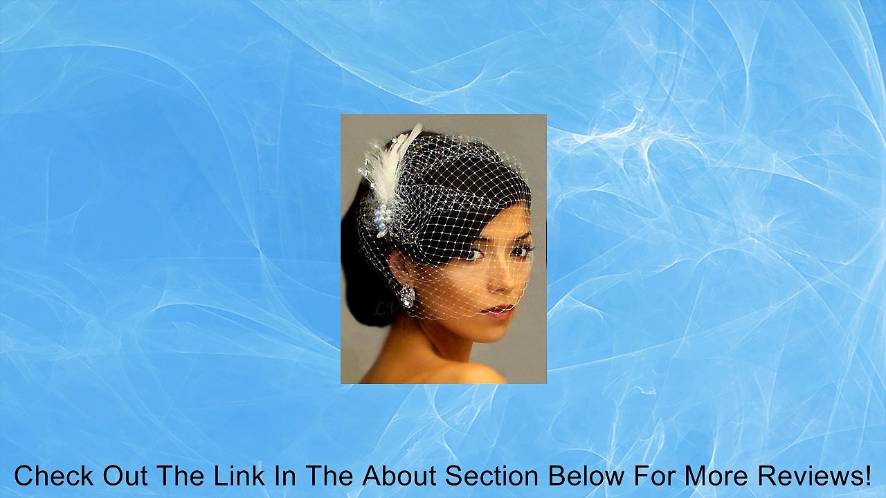 Amelia: Ivory Pearl Rhinestone Brooch Clip & Bridal Birdcage Veil 21-F40A Leslie Li Review