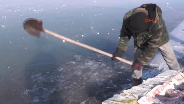 Muş Buz Tutan Nehirde Balık Avı