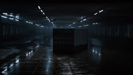 Lexus : NX 200t TURBO