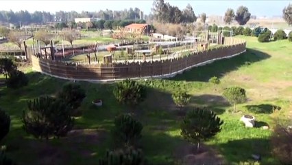 Bu kareler Afrika’dan değil İzmir’den