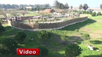 Bu Kareler Afrika'dan Değil Türkiye'den