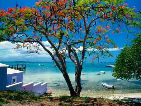 Andy Borg - Alles Gute Amigo