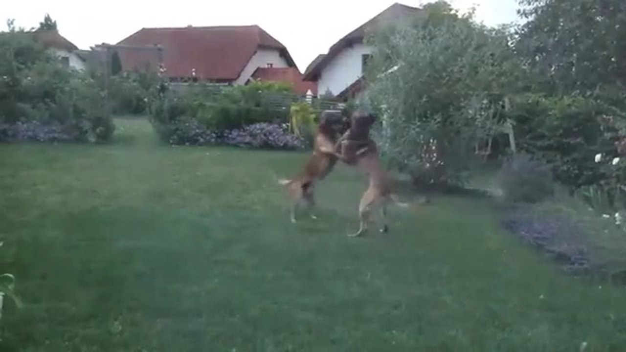 Be Aware Drisko & Elgos @ FUN