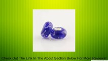 Blue with Bubbles Murano Style Glass Bead Solid 925 Sterling Silver Core for Pandora, Biagi, Chamilia, Troll and More Bracelets Review