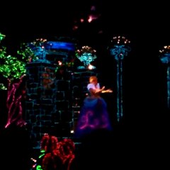 【2015.1.11】TDL夜のパレード