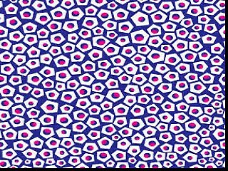 THE TURTLES - YOU SHOWED ME