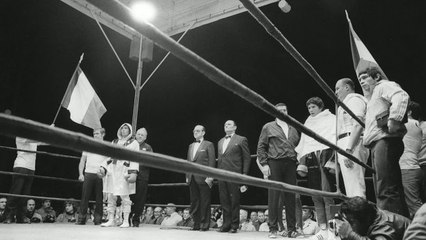 BOXE - Bouttier : «Alain Delon avait beaucoup de respect»