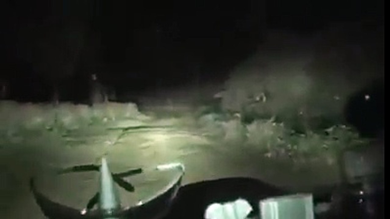 While some guys were passing through jungle then suddenly they saw some object standing on the road side! Must watch video