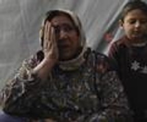 Kampların çilekeş anneleri