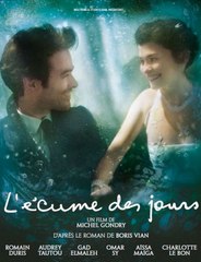 Watch Mood Indigo (2013) Full Movie