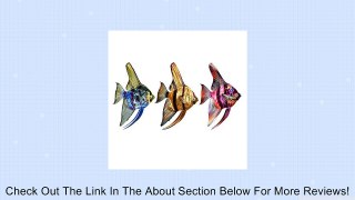 Next Innovations WA3DSTFishset Tetra Fish Set Refraxions 3D Wall Art Review