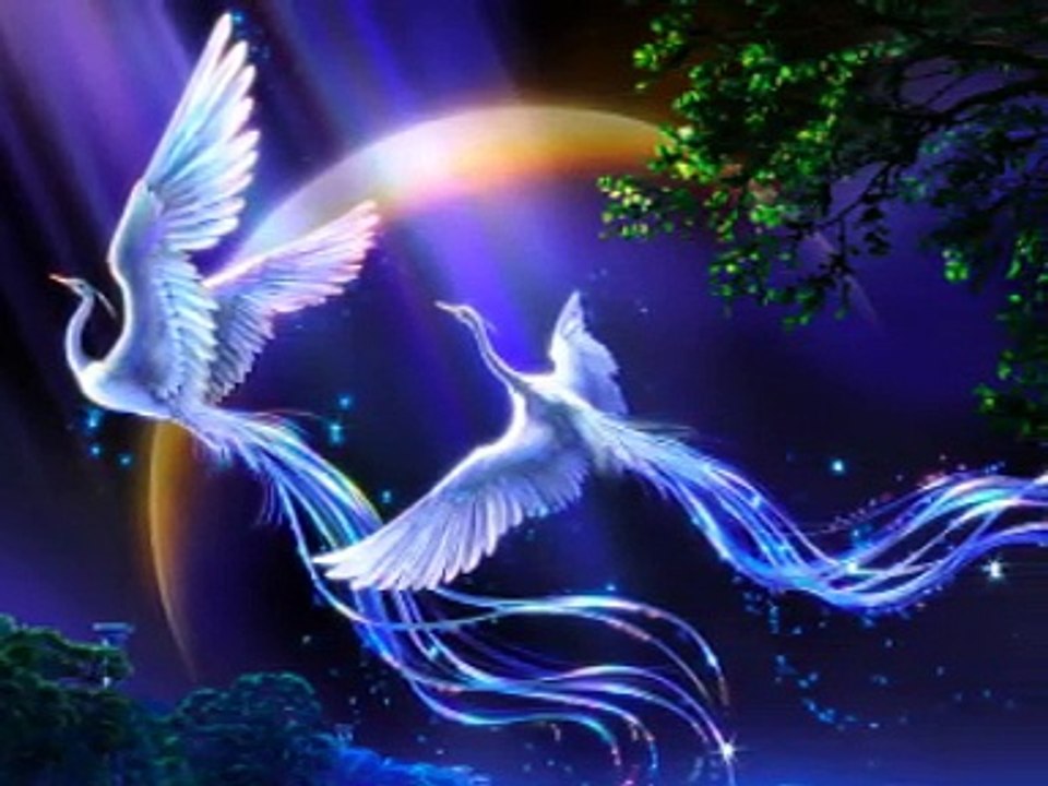 Faites de beaux rêves