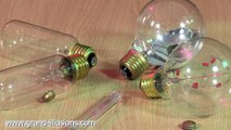 Unusual Japanese Electric Light Bulbs