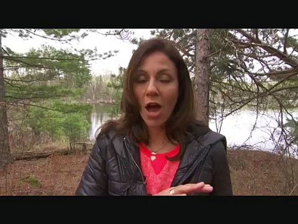 Bears Episodes 1 thru 4.wmv