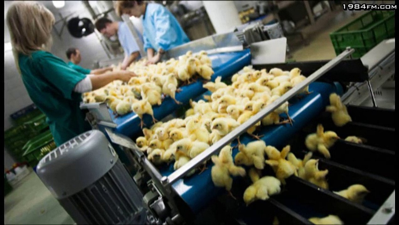 Charly Hbdo schon vor Hundert jahren geplant