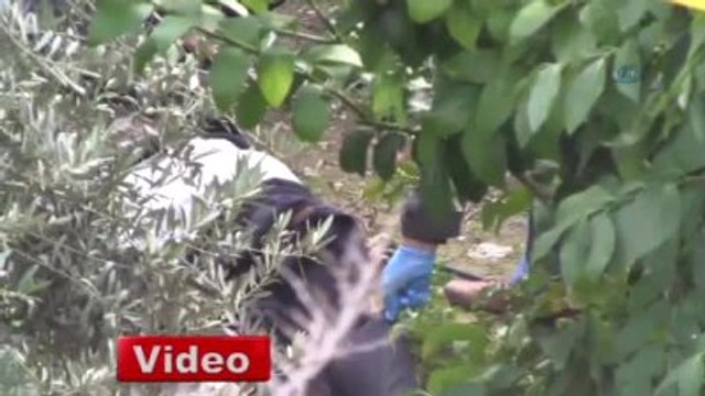 Yüzü Soyulan Ceset, Suriyeli Muhalif Keskin Nişancı Çıktı