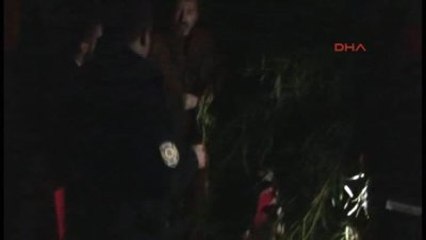 Erdemli Sokak Köpeklerini Av Tüfeğiyle Yaraladılar