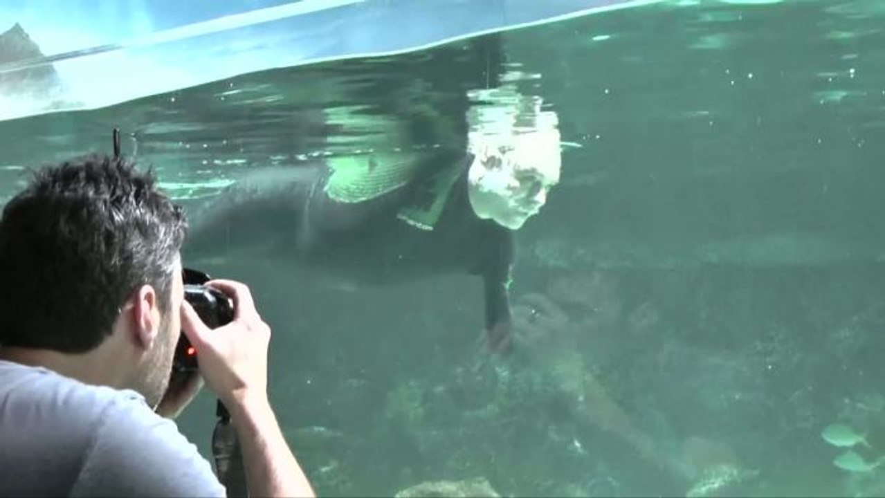 HORS NORME : Philippe Croizon, le making of de la photo