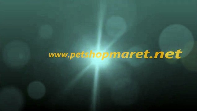 Tavuk yemliği,tavuk yemlikleri,tavuk yemlikleri fiyatları,tavuk ve sulukları,tavuk yemliği fiyatları,tavuk yemliği fiyatı,tavuk yemlikleri çeşitleri,tavuk yemliği çeşitleri