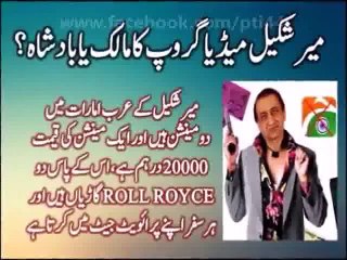 Mir Shakeel Ur Rehman-Ek Villain