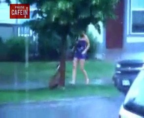 un pauvre chien abandonné en plein orage...jusqu'à ce qu'une voisine intervienne