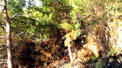 likya yolundan çukurbağ'a çıktık (KAŞ)