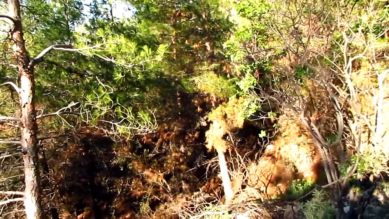 likya yolundan çukurbağ'a çıktık (KAŞ)
