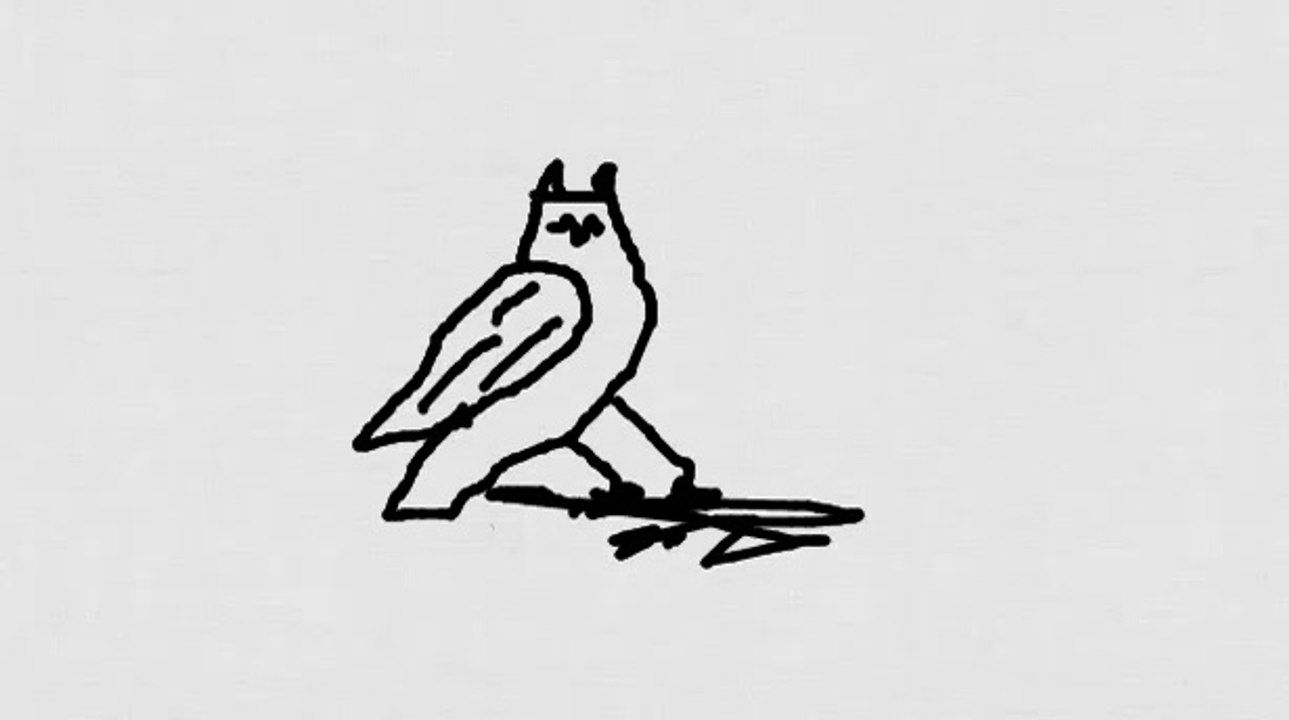LEARN HOW TO DRAW A OWL