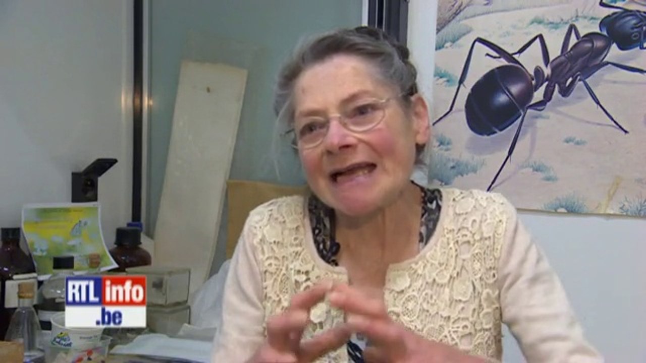 Expérience des ondes GSM sur les fourmis