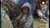 Nijerya dünyadan teröre karşı yardım bekliyor